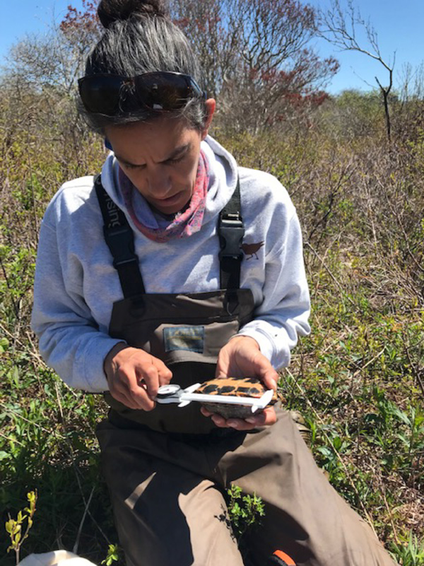 Liz_Olson_BiodiversityWorks_evergreen_8.jpg