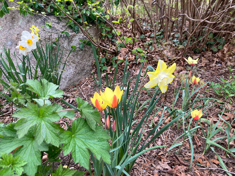 Garden_notes_02