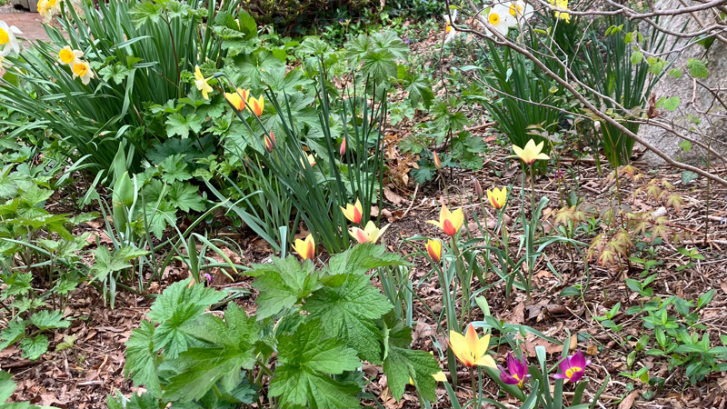Garden_notes_03.jpg