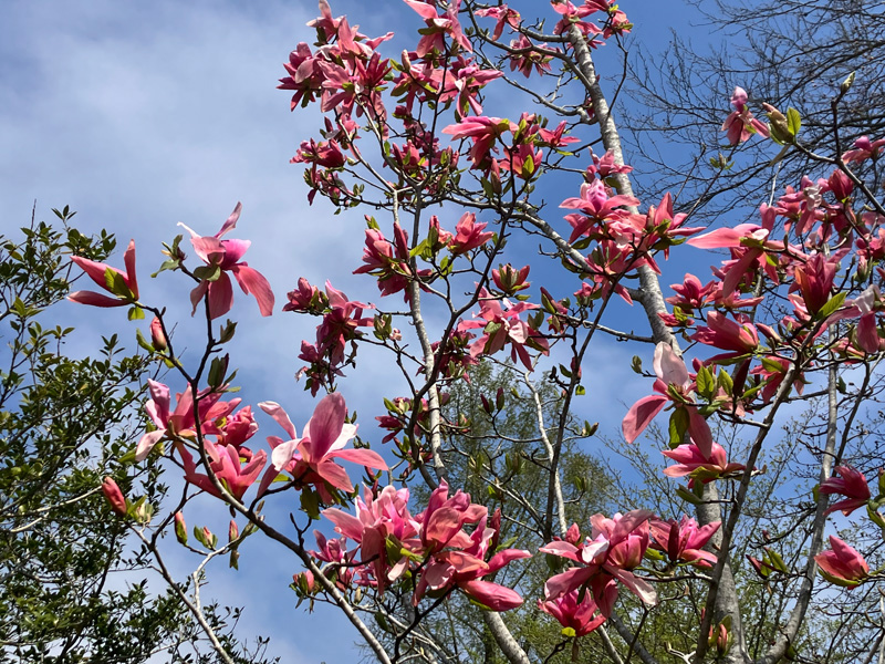 Garden_notes_05.jpg