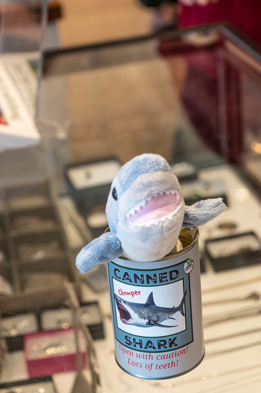 Jaws_museum_08.jpg