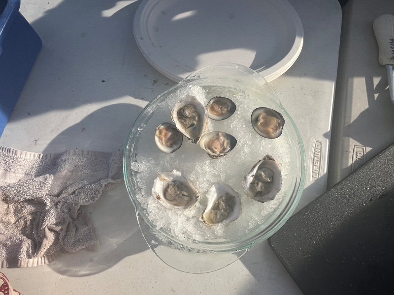 shellfish.jpg