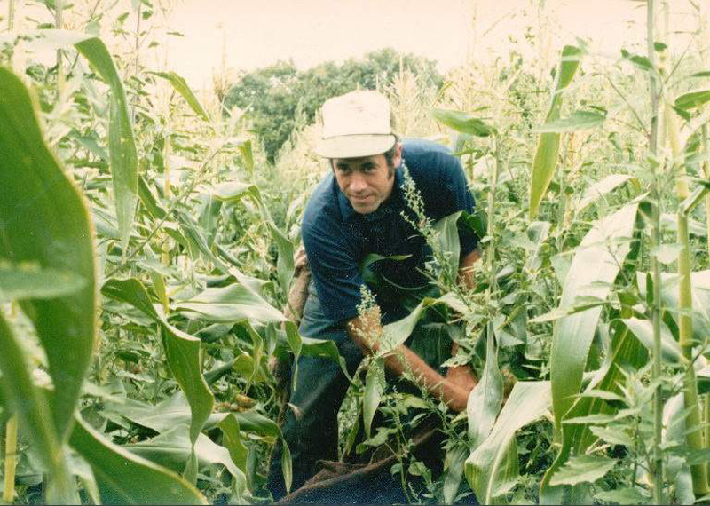 Jim in the corn field in 1985.