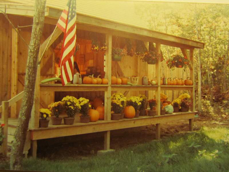 Farmstand pumpkins in February 2011