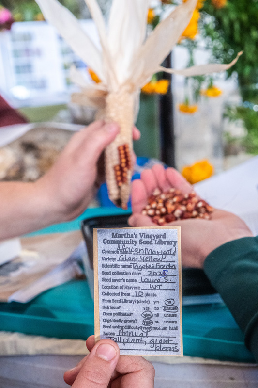 Harvest_Festival_023
