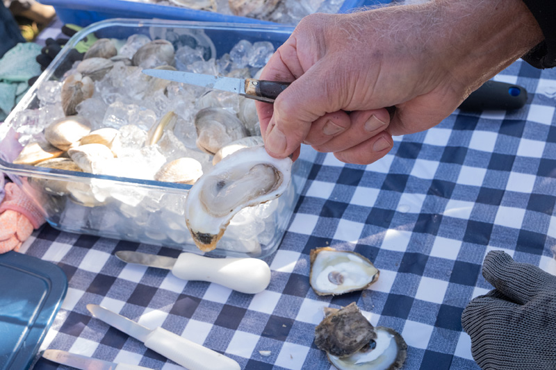 Crowds came to learn how to shuck oysters.