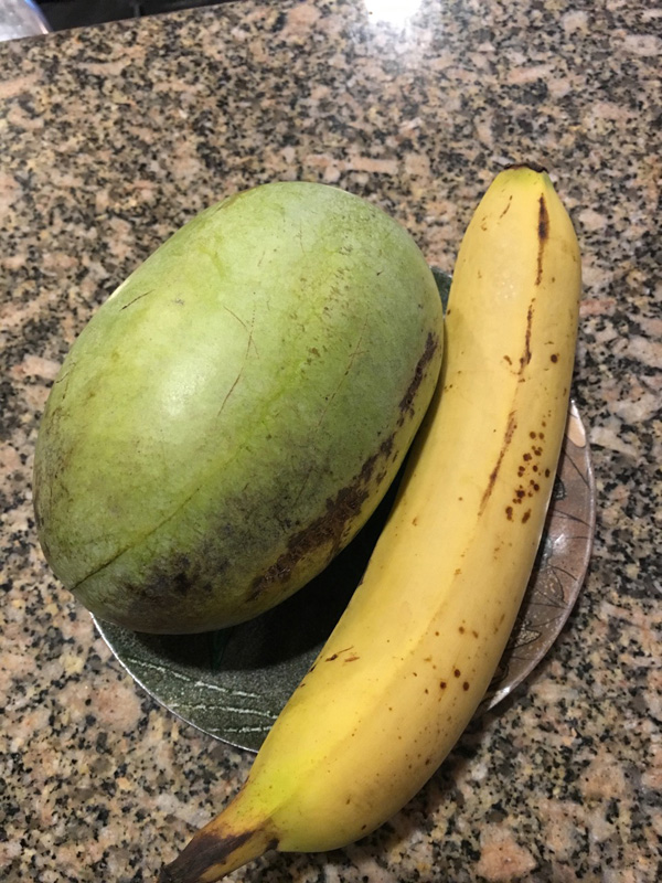 Pawpaw ‘Shenadoah’ fruit with banana.