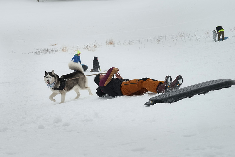 Ogi Skipina and Dante take a spill.
