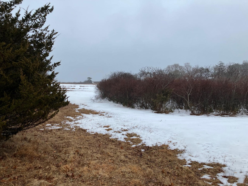February’s austere beauty.