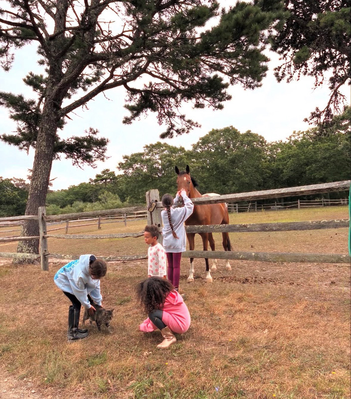 Spending time outside, petting the horses and playing with Baby the cat.