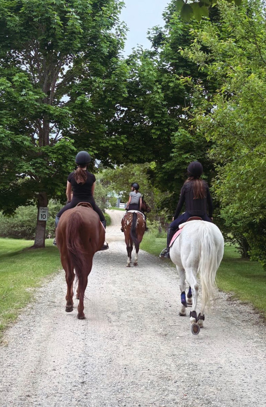 A stroll down the property on a cooler summer day.
