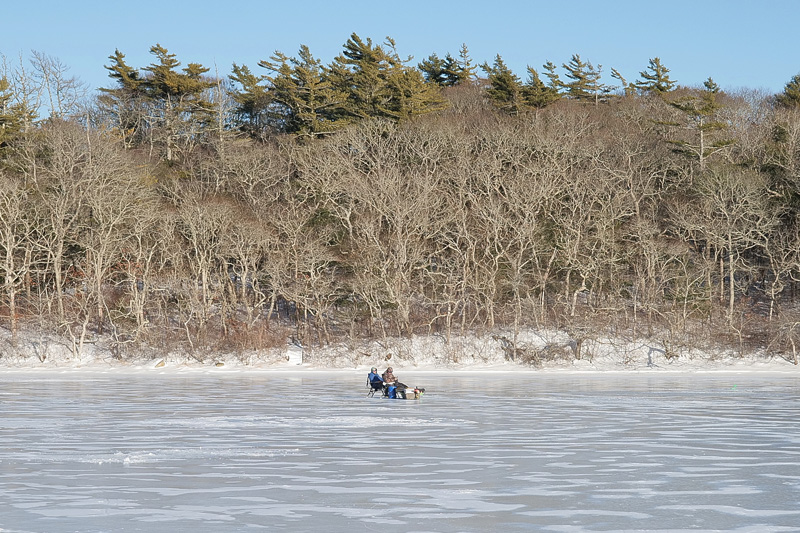 freezingpondactivities_1