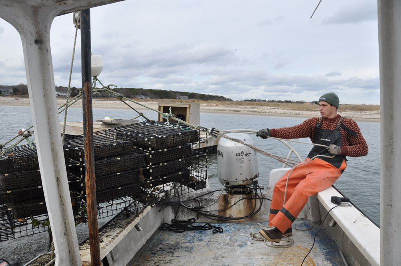 Liam Cosgrove pulls up oyster cage in January in Edgartown.
