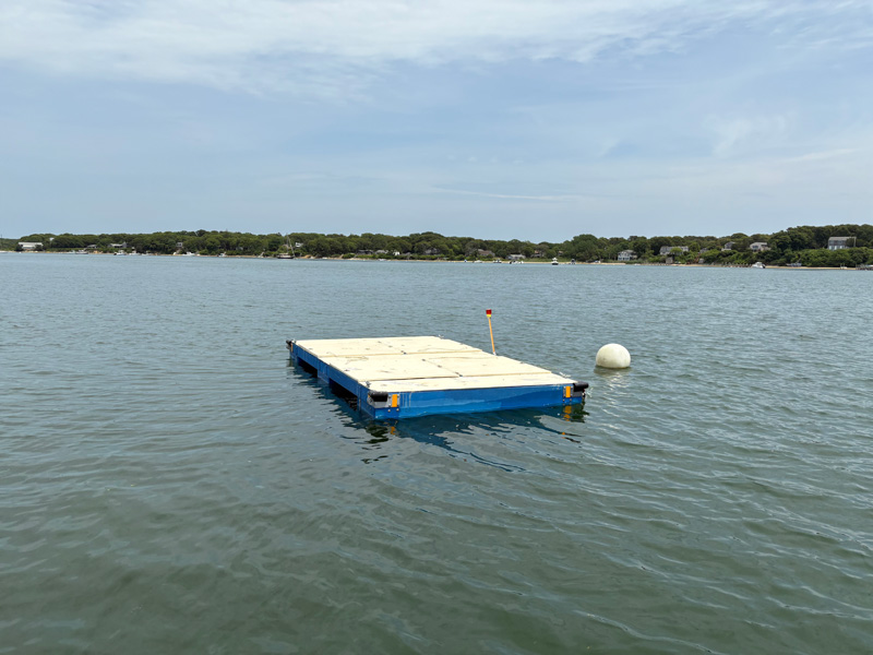 Shellfish departments adapt after a slow season for bay scallops
